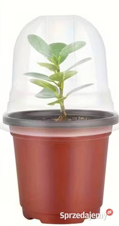 Doniczki z kopółą 40 sztuk Nowe do sadzonek