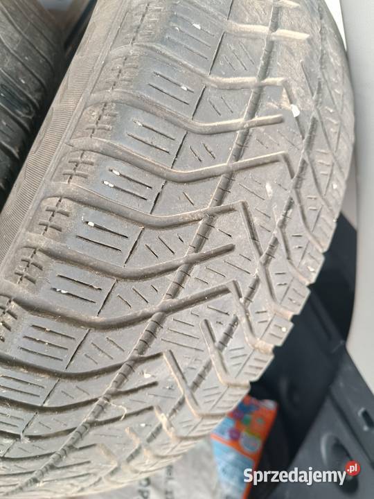 Opony zimowe Pirelli 1856515 65 Wydrze