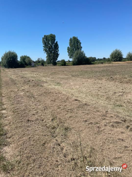 Działka 1 ha dojazd z dwóch stron trasie inwestycyjna Sochaczew