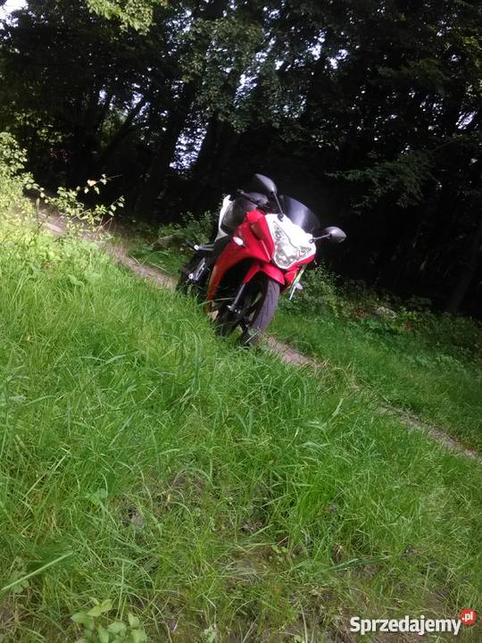 Okazja Stare Czarnowo