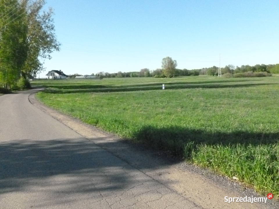 Duża tania działka w lokalizacji 9952 m2 260m