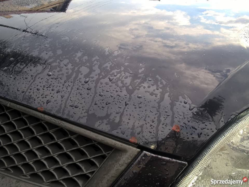 Ford Focus 2007 14 lpg 3 drzwi Gdańsk granatowy Ford pomorskie