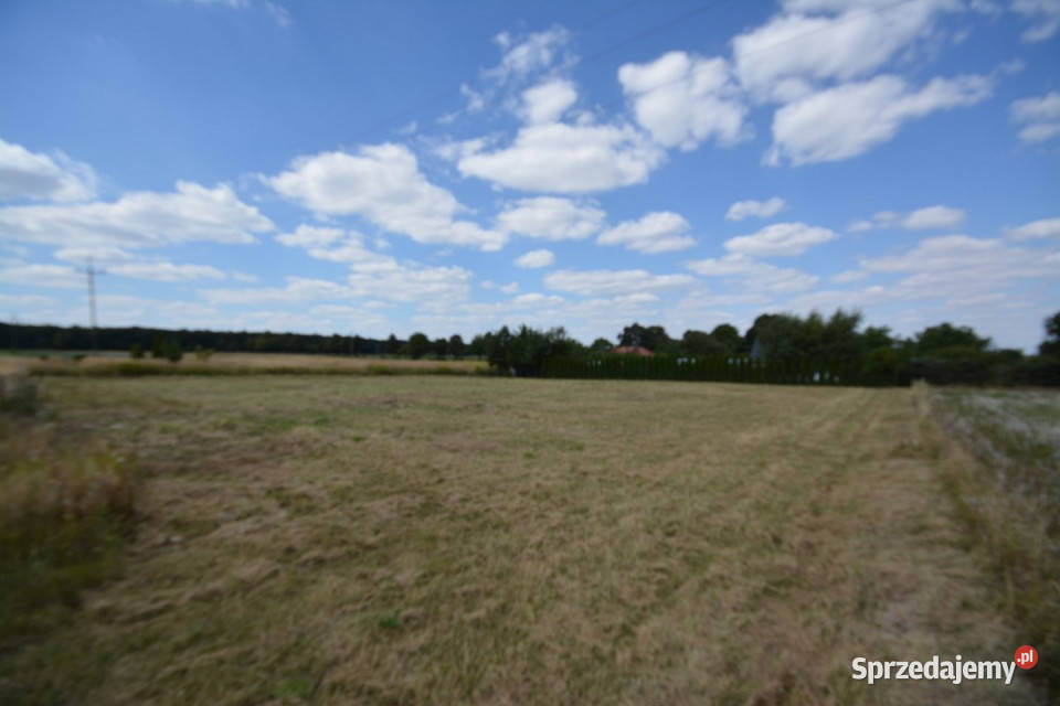 Działka Bystrzejowice Pierwsze 1859m2 lubelskie