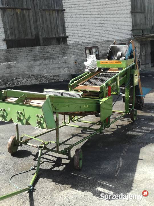 sortownik ziemniaków Amazone bk3 amazone Trzyciąż