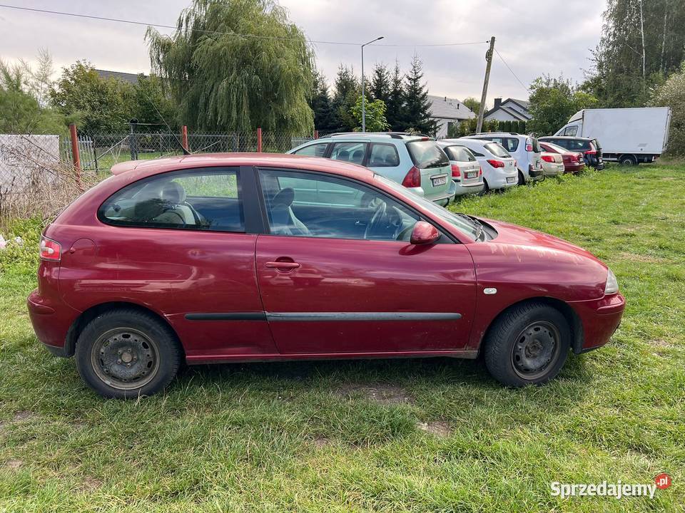 Seat Ibiza 12 213 Sokołów Podlaski