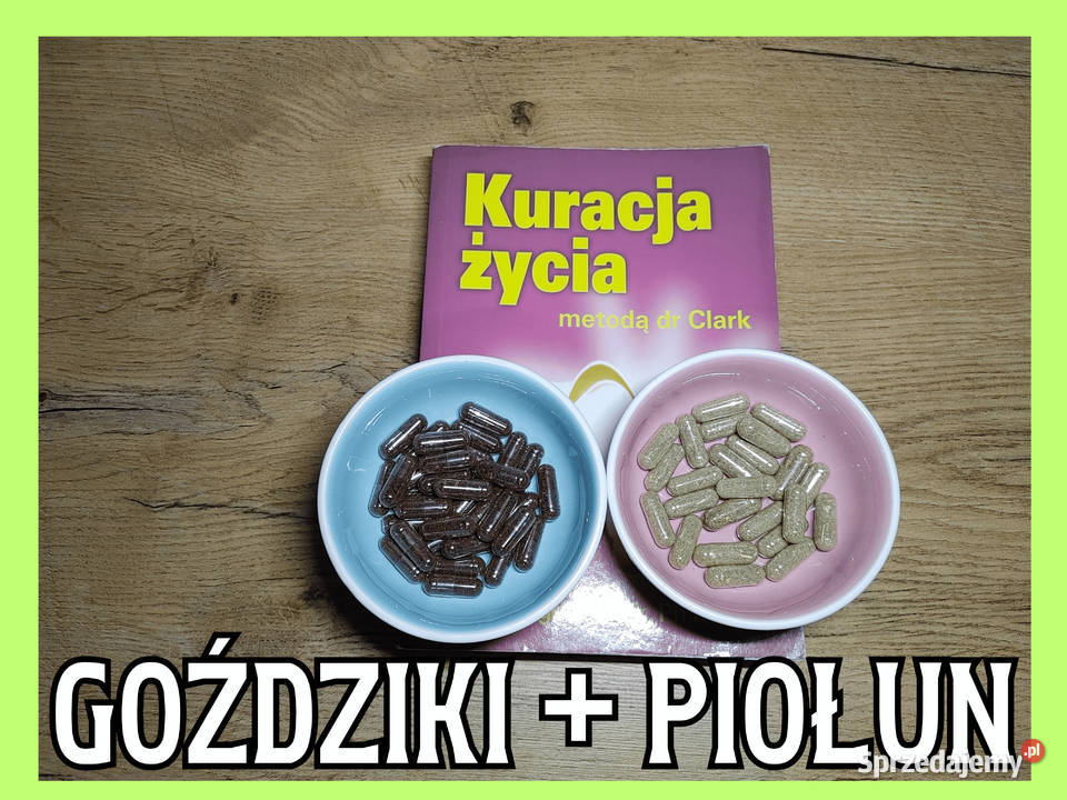 Goździki Piołun na Odrobaczanie H Clark Kuracja Złoczew