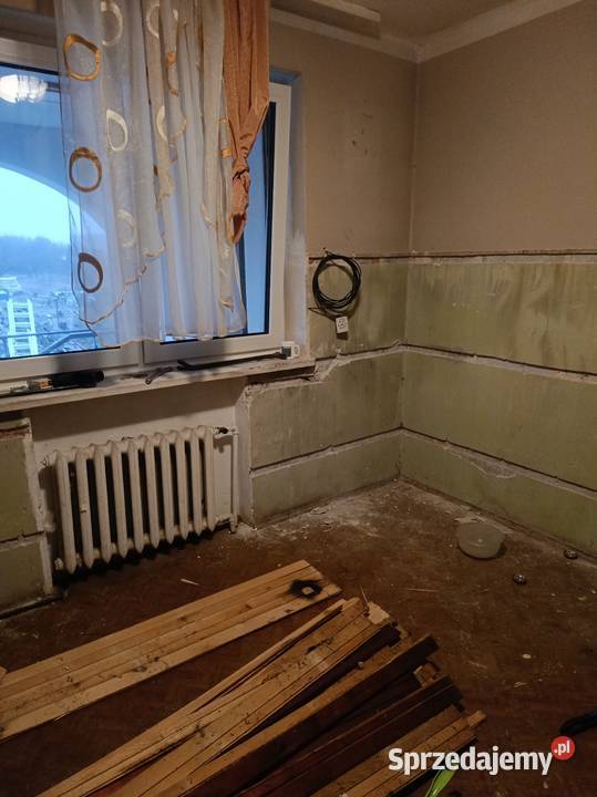 Sprzątanie piwnic i garaży Sulejówek