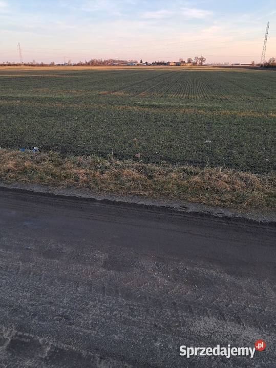 Sprzedam działki budowlane BIERZGLIN