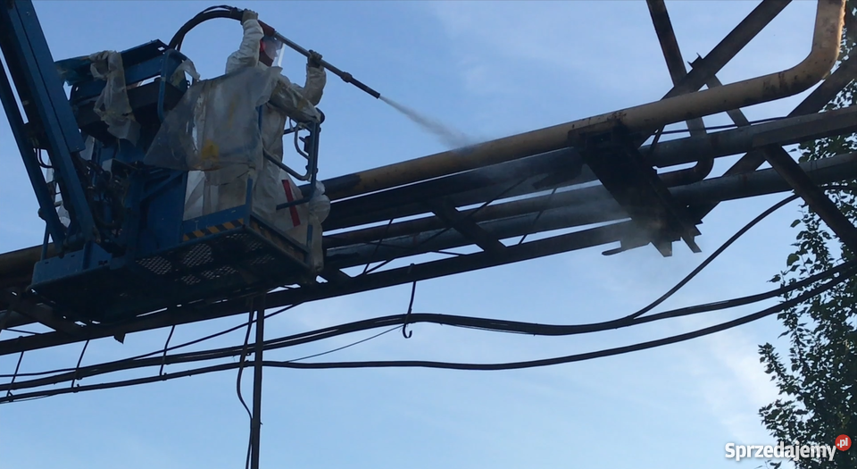 MALOWANIE DACHÓW DACHU TYCHY KATOWICE SOSNOWEC usługa dla zwierząt