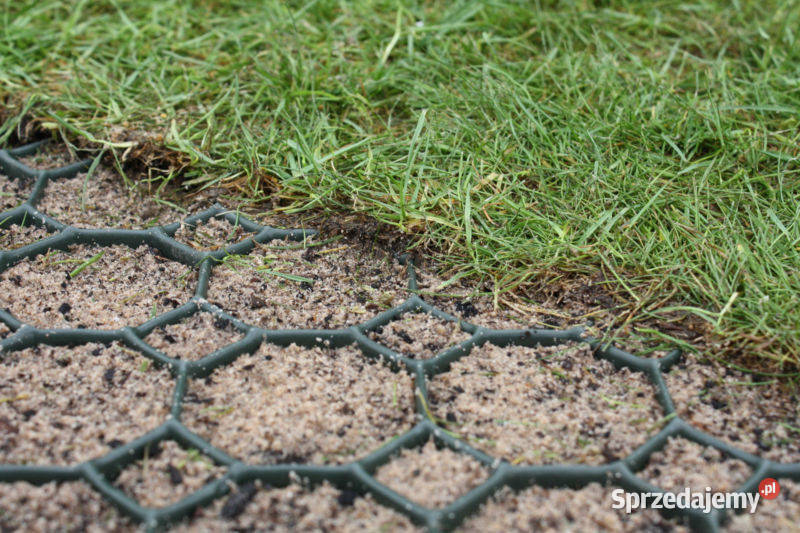 KRATKA TRAWNIKOWA DROGOWA SG Typ 1 50X50X4 Elbląg