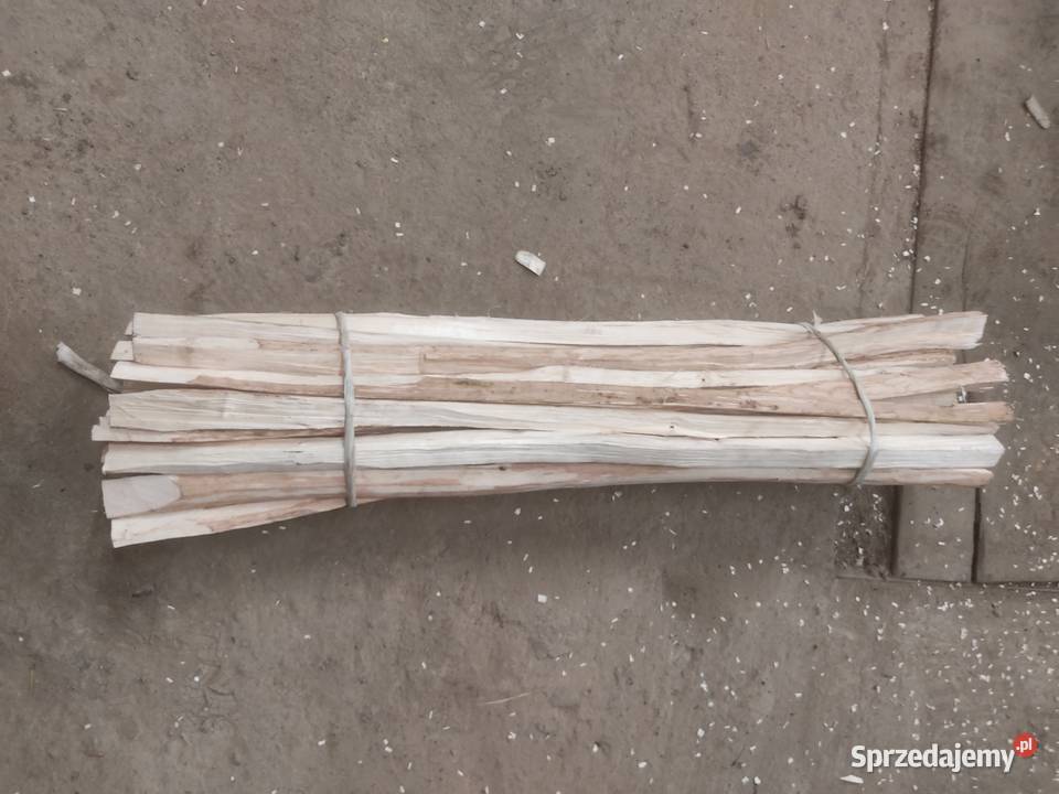 Leszczyna łupanka Leszczynowa Przemyśl