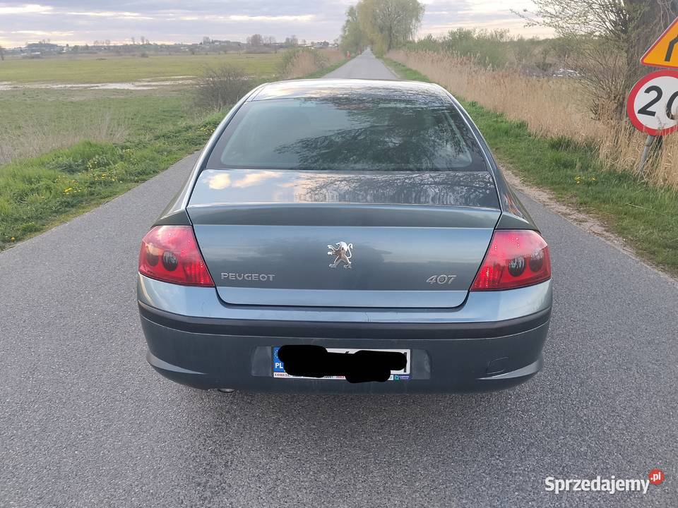 Peugeot 407 18 gaz Łęczyca
