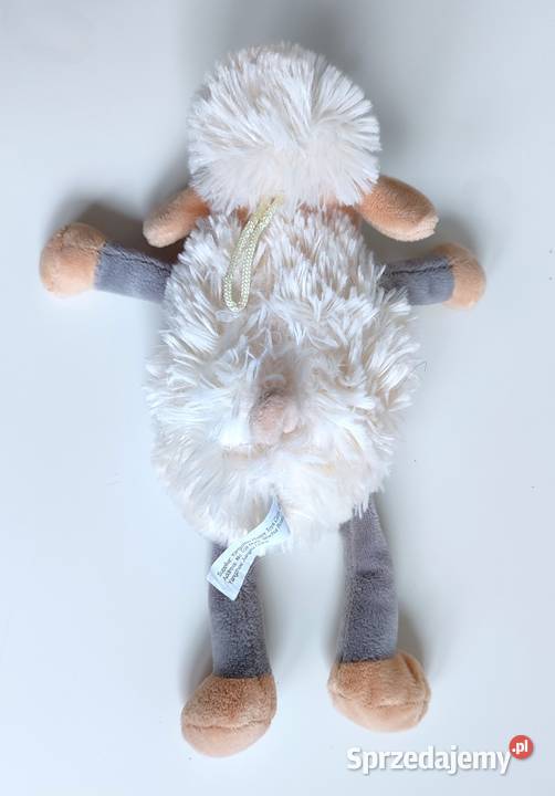 Owieczka SunDay Katowice