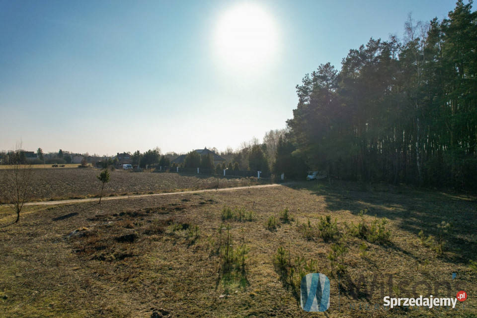 Działkę sprzedam 3726m2 Leszno Polna kanalizacja
