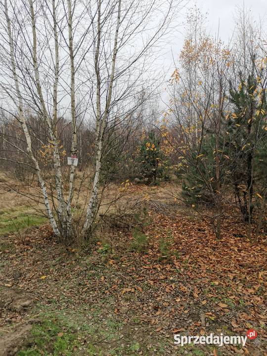 Działka budowlana z wz 750m2 Grabie Osada 7 polna