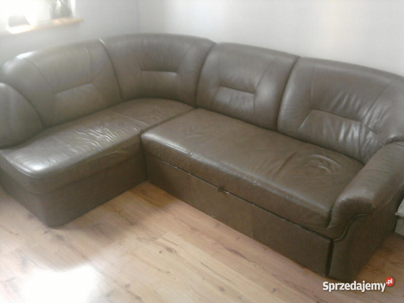 HOLENDERSKI NAROZNIK SKORY Chełmek