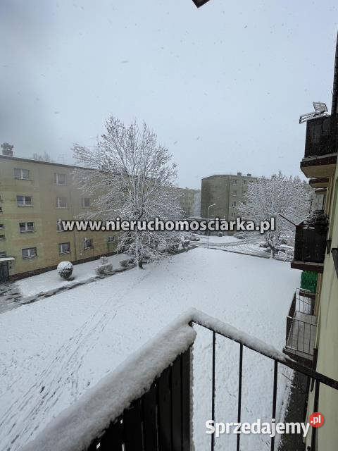 Mieszkanie Wodzisław Śląski 373 metry 2 pokoje Mieszkania sprzedam