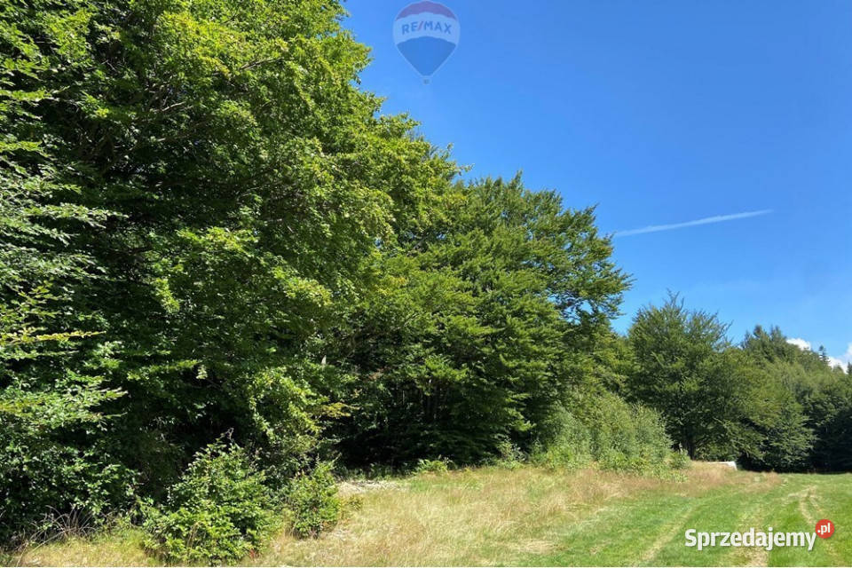 Działka na szczycie Magurki Wilkowickiej 0m śląskie