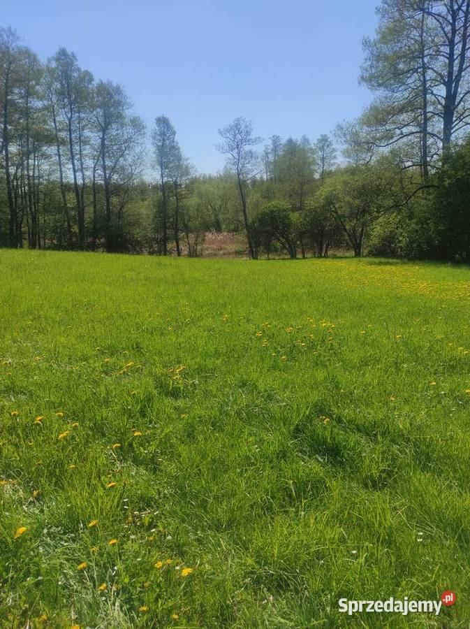 Mazury Działka rzeką Krutyń Ukta sprzedam