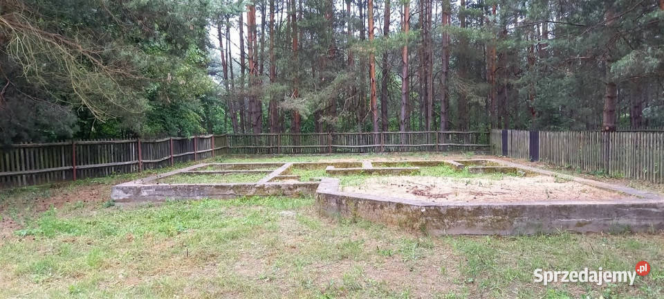 Cierpisz k Sędziszowa działka rekreacyjna Sędziszów Małopolski