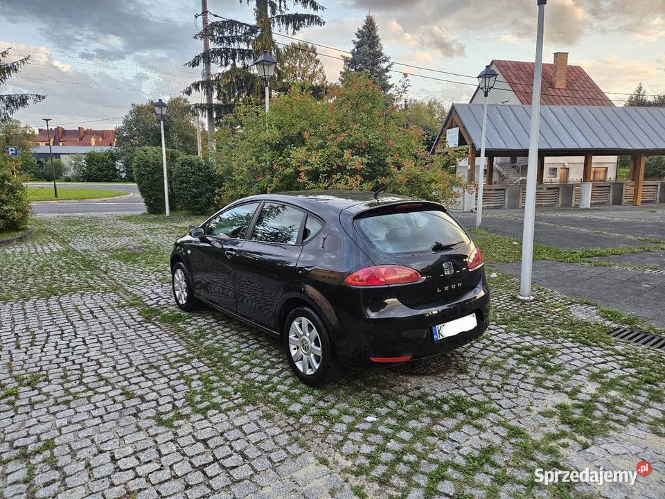 Seat Leon 2005r 16Benz Klima Alu 16 Stan 102KM Ryglice
