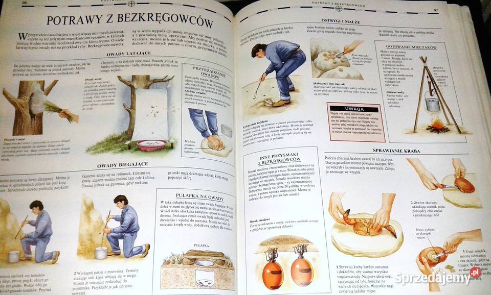 Szkoła przetrwania Hugh McManners Chełm