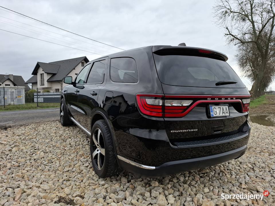 Czarna perełka Pniów