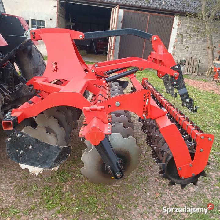 Talerzówka Dziadowa Kłoda