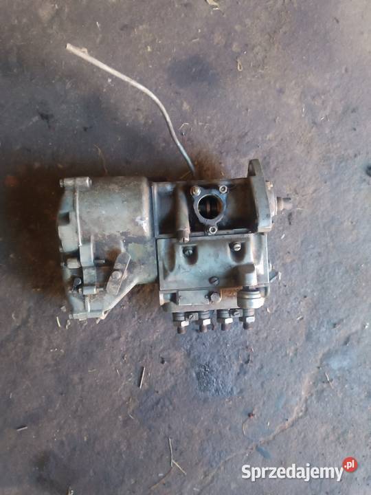 Sprzedam Sokola Dąbrowa