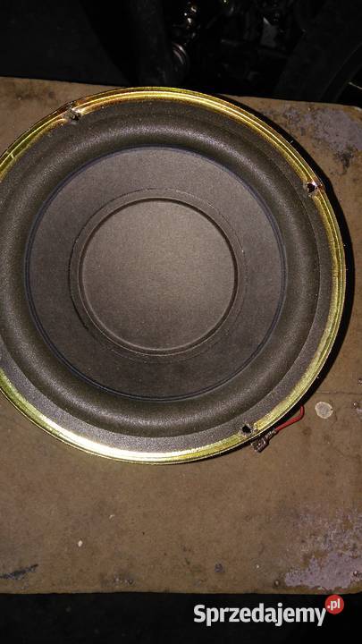 Głośniki różne kolumienki pierścienie maskownice kujawsko-pomorskie