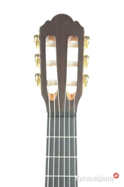 Gitara klasyczna Arrow Calma mat 34 Kłodzko