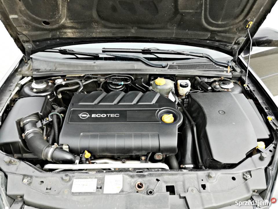 Opel Vectra C 1.9 CDTI DPF/KLAPY/EGR OFF czytaj opis! Leszno