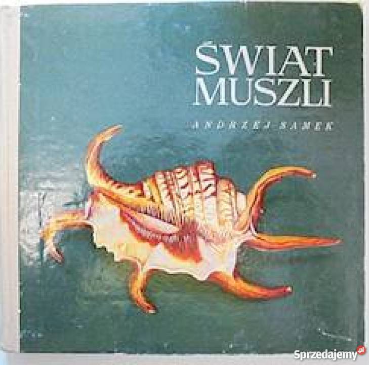 Świat muszli A Samek fa Szczecin