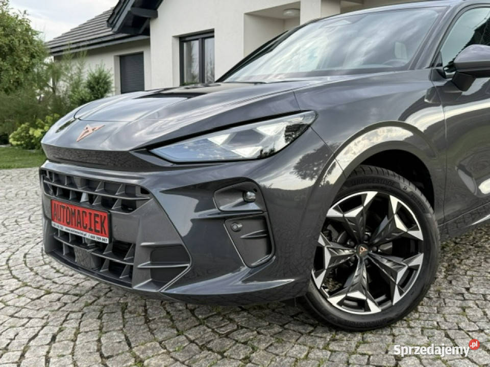 Cupra Terramar 20 265 VZ AWD AMBIENT NOWE AUTO Kamienna Góra