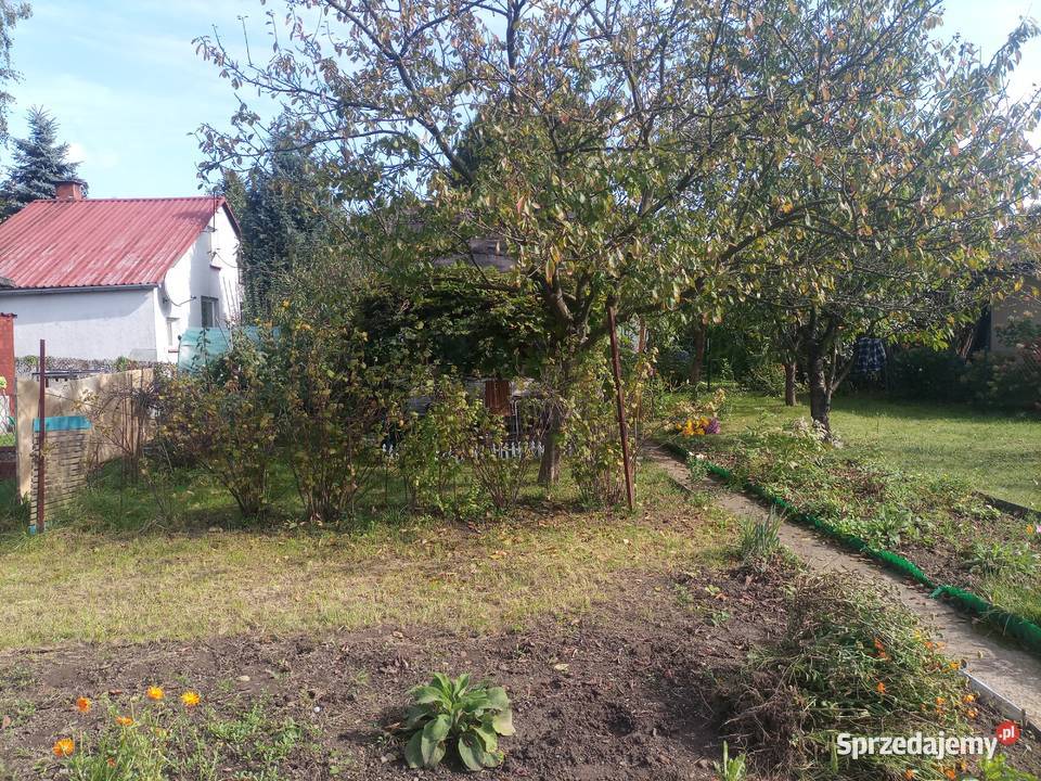 Sprzedam działkę ROD Zakole Wisły