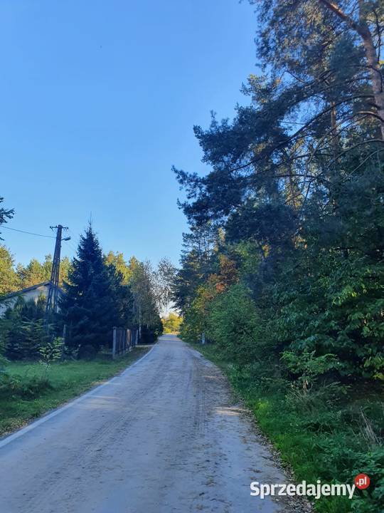 Działka leśna 5600m 90 Warszawy 34zł/m2 Kostrzyn sprzedam