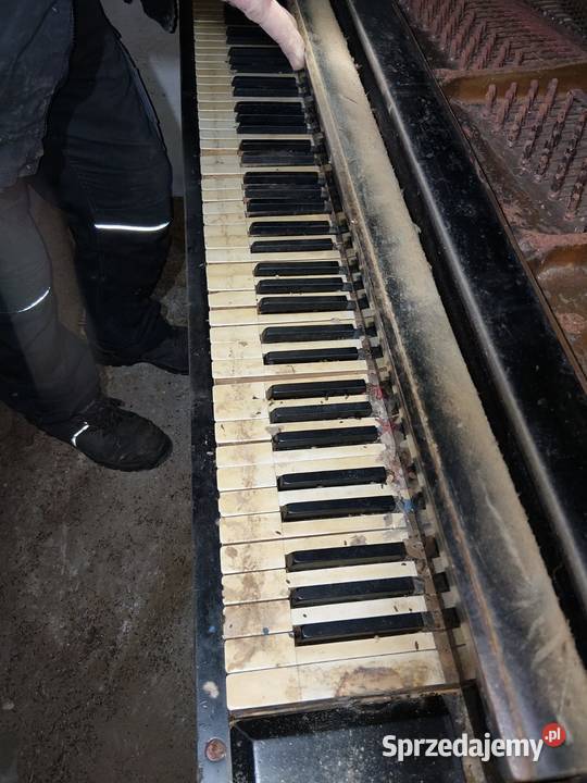 Fortepian z piwnicy Babci Opole