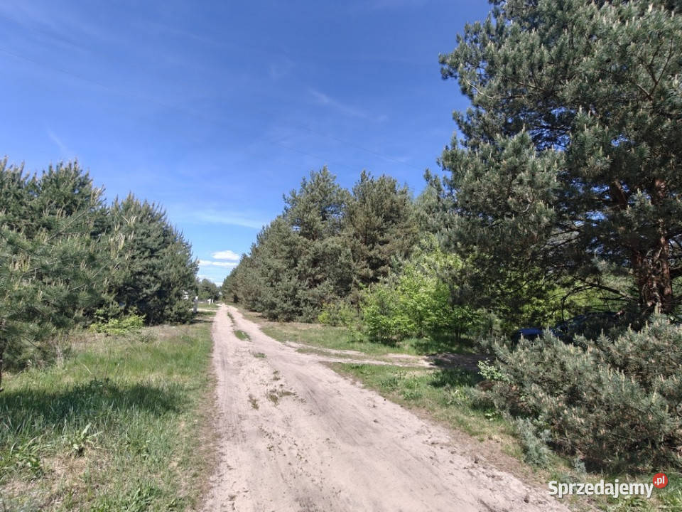 Michałów urokliwa działka budowlana 5500 m2 mazowieckie