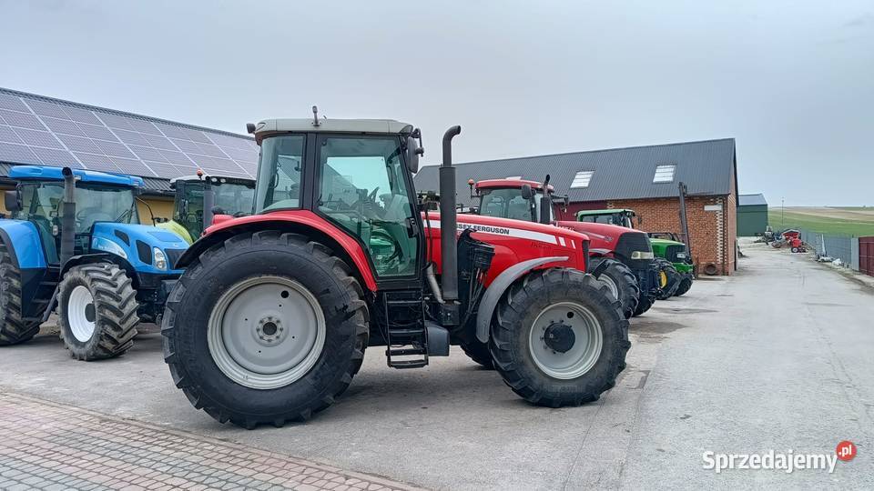 Massey Ferguson 6480 Żabno