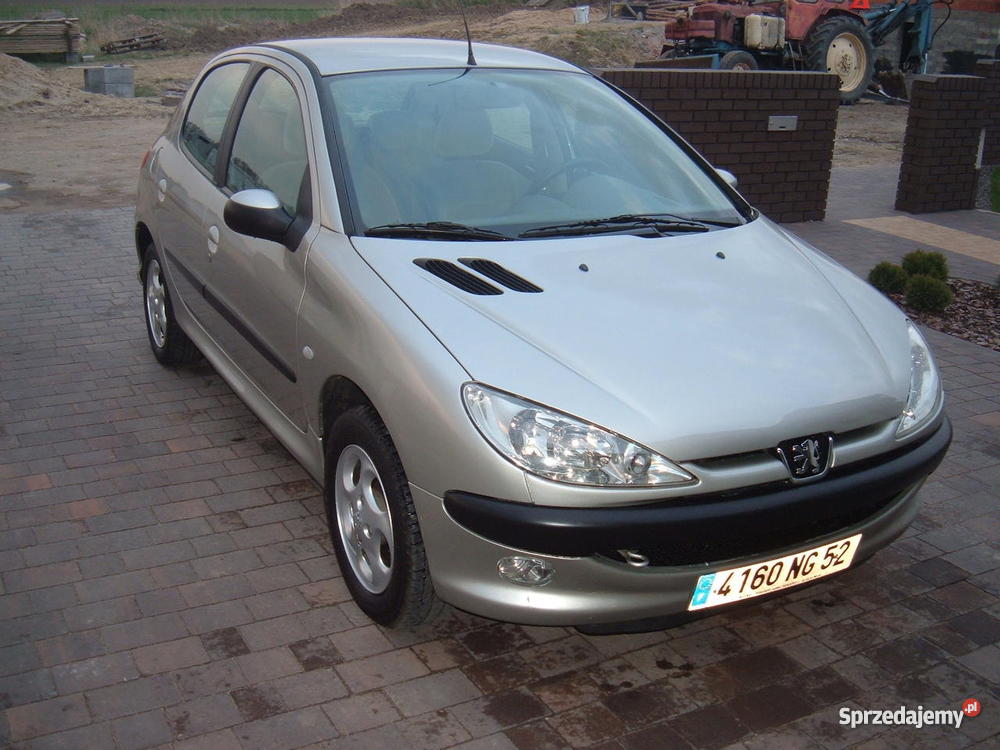Peugeot 206 20HDI centralny zamek wielkopolskie Turek