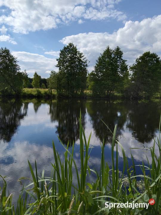 Ziemia rolna Siedlisko Szostaki