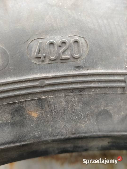 Matador Hector DR1 24570 R195 MS Regroovable Kęty