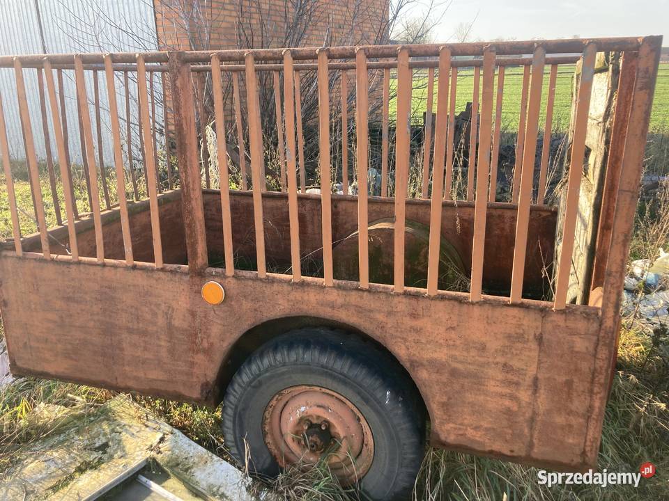 Wózek jednoosiowy do przewozu zwierząt łódzkie Łowicz