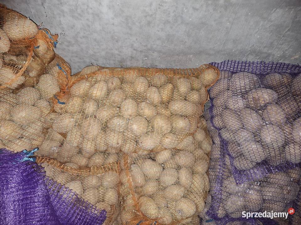 Ziemniaki jadalne Łososina Dolna sprzedam