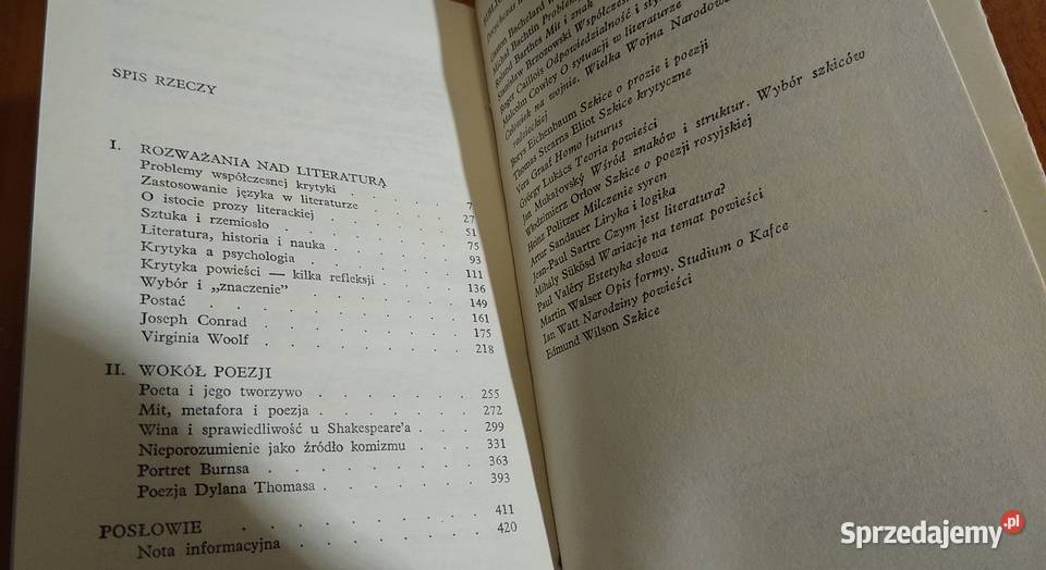 Krytyk i jego światy szkice literackie David pomorskie Gdańsk