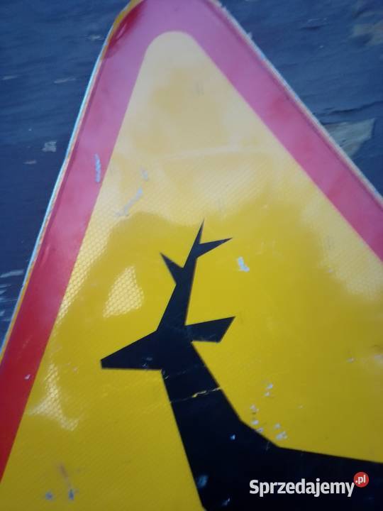 Znak drogowy uszkodzony jelonek podkarpackie Jarosław