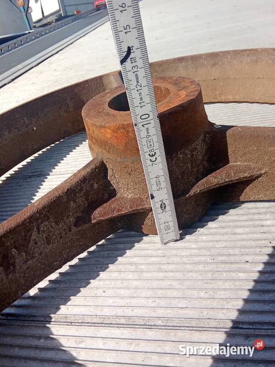 Pierścienie do wałów Cambridge 503836 Jawor