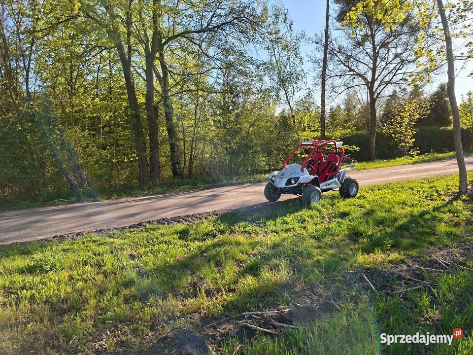 Buggy Zumico ORS 150 Zarejestrowany Sicienko