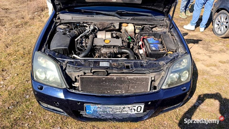 Opel Signum 22 Dti Okazja diesel sprzedam