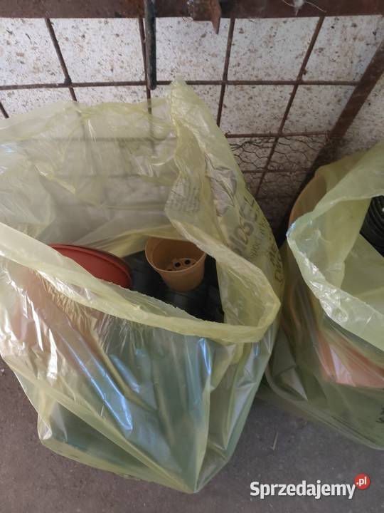 Doniczki do produkcji rozsady Żabiec